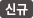 신규